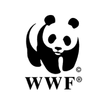 wwf logo